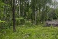 Property for sale in Stoddard County, Missouri