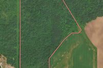 Undeveloped Land for sale in Tuscola County, Michigan