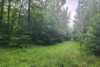 Property for sale in Montgomery County, Arkansas