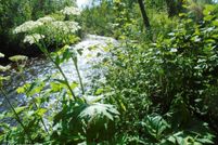Undeveloped Land for sale in Matanuska-Susitna Borough, Alaska