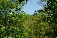 Property for sale in Washington County, Vermont