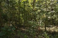 Undeveloped Land for sale in Izard County, Arkansas