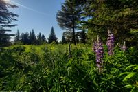 Undeveloped Land for sale in Kenai Peninsula Borough, Alaska