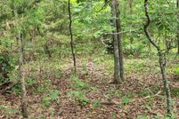 Undeveloped Land for sale in Fulton County, Arkansas