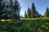 Undeveloped Land for sale in Kenai Peninsula Borough, Alaska