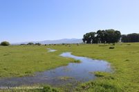 Undeveloped Land for sale in Teton County, Idaho