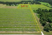 Undeveloped Land for sale in Polk County, Florida