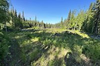 Undeveloped Land for sale in Fairbanks North Star Borough, Alaska