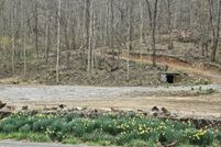 Undeveloped Land for sale in Lee County, Virginia