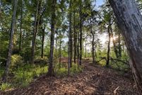 Undeveloped Land for sale in Tallapoosa County, Alabama