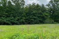Undeveloped Land for sale in Tangipahoa Parish, Louisiana