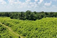 Undeveloped Land for sale in Pike County, Indiana