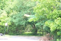 Undeveloped Land for sale in Madison County, Tennessee