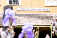 Property for sale in Windsor County, Vermont