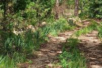 Property for sale in Carter County, Missouri