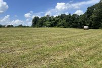 Undeveloped Land for sale in Stoddard County, Missouri