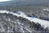 Undeveloped Land for sale in Addison County, Vermont