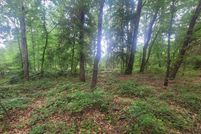 Property for sale in Spartanburg County, South Carolina