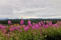 Property for sale in Kenai Peninsula Borough, Alaska