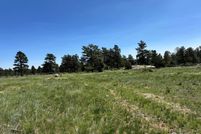Undeveloped Land for sale in Larimer County, Colorado