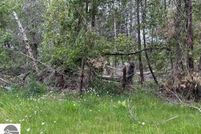 Lakefront Property for sale in Iosco County, Michigan