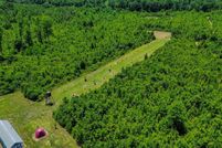 Undeveloped Land for sale in Wilcox County, Alabama