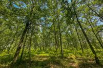 Undeveloped Land for sale in Bibb County, Alabama