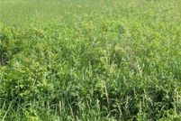 Undeveloped Land for sale in Chippewa County, Wisconsin