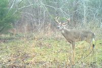 Property for sale in Navarro County, Texas