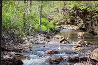 Lakefront Property for sale in Christian County, Missouri