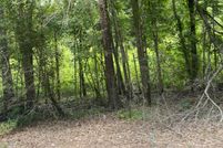 Undeveloped Land for sale in Camp County, Texas