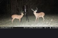 Residential Property for sale in Henry County, Alabama