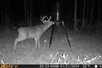 Property for sale in Henry County, Alabama