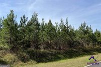 Undeveloped Land for sale in Houston County, Georgia