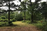 Property for sale in Montgomery County, Texas