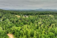 Undeveloped Land for sale in Fannin County, Georgia