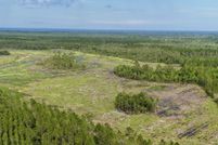 Farm Property for sale in Brantley County, Georgia