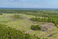 Farm Property for sale in Brantley County, Georgia