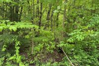 Undeveloped Land for sale in Franklin County, Vermont