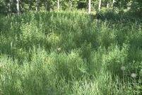 Undeveloped Land for sale in Missaukee County, Michigan