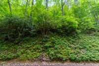 Property for sale in Sevier County, Tennessee