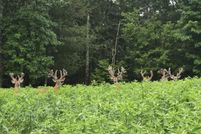 Property for sale in Blount County, Alabama