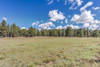 Undeveloped Land for sale in Coconino County, Arizona
