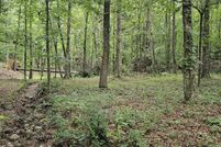 Undeveloped Land for sale in Catoosa County, Georgia