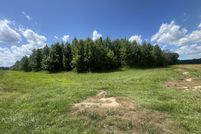 Undeveloped Land for sale in Butler County, Missouri