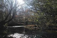 Property for sale in Wayne County, Tennessee