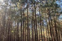 Undeveloped Land for sale in Grady County, Georgia