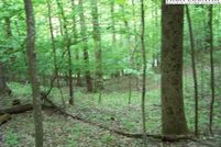 Property for sale in Watauga County, North Carolina