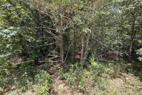 Undeveloped Land for sale in Baxter County, Arkansas