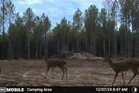 Undeveloped Land for sale in Pushmataha County, Oklahoma